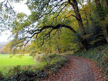 Bridge House Otel Gunnislake Dış mekan fotoğraf